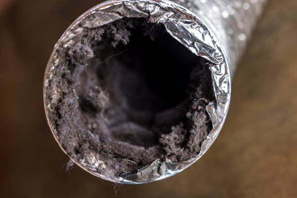 Best HVAC Air Duct Cleaning  in Hamburg, IA