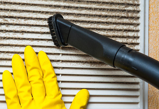 Best Air Duct Mold Removal  in Hamburg, IA