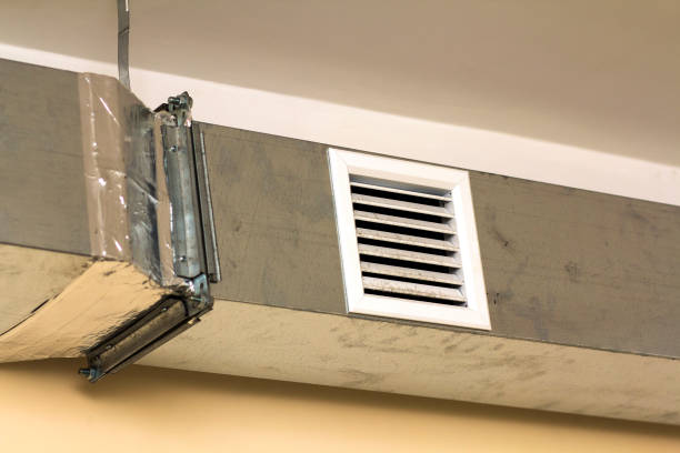 Best Duct Cleaning Specialists  in Hamburg, IA