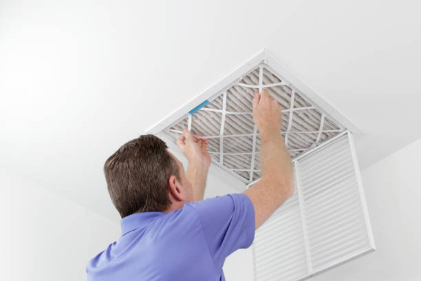 Best Residential Air Duct Cleaning  in Hamburg, IA